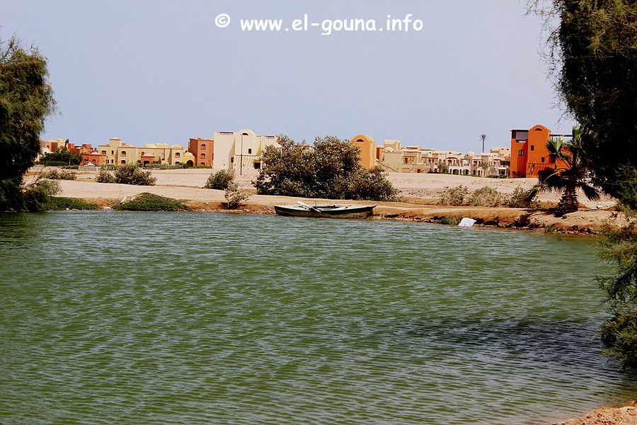 El Gouna Fishfarm 3626